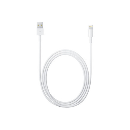 Cable USB vers Lightning Apple 2M Blanc pour iPhone/iPad CAUSB_AP-MD819ZM/A - 1