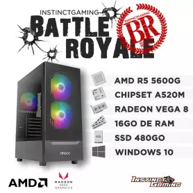 PC Gamer BATTLE ROYALE Ryzen 5 5600G 16Go SSD 480Go AMD Radeon W10 - 1
