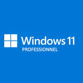 Microsoft Windows 11 Professionnel 64 Bits OEM 1 PC Fr - 1