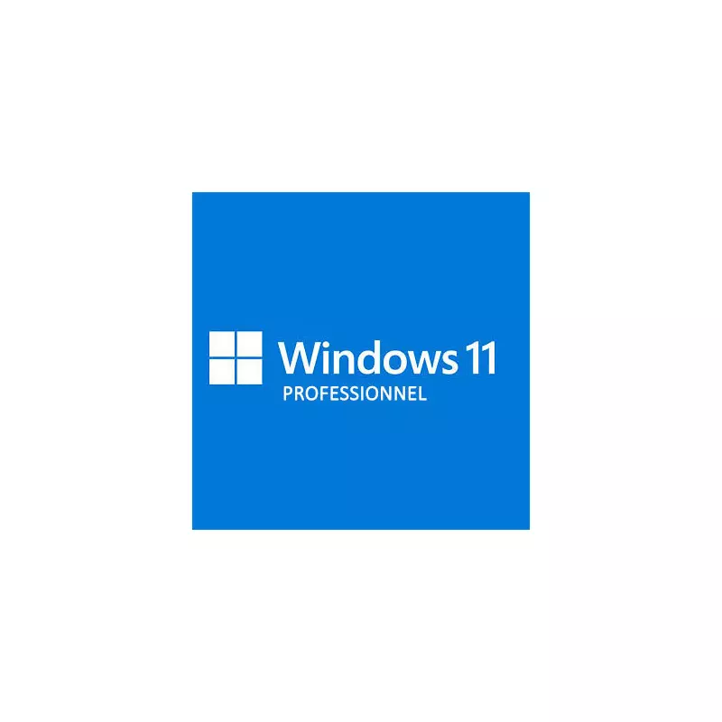 Microsoft Windows 11 Professionnel 64 Bits OEM 1 PC Fr