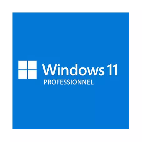 Microsoft Windows 11 Professionnel 64 Bits OEM 1 PC Fr - 1