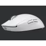 Souris Logitech G Pro X Superlight Wireless Gaming Blanc 25 600dpi - 1