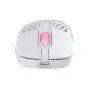 Souris Xtrfy M4 RGB Wireless Blanc 19000dpi - 8