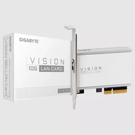 Carte Réseaux PCI-Express Gigabyte GC-AQC113C RJ45 VISION 10G