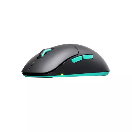 Souris légère Xtrfy M8 Wireless Noir 26 000 dpi (M8W-BLACK)