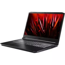 Portable Acer Nitro AN517-41-R4Y6 17.3" R5-5600H 8Go 512Go 3060 W11