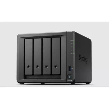 Boitier Serveur NAS Synology DS923+ sur