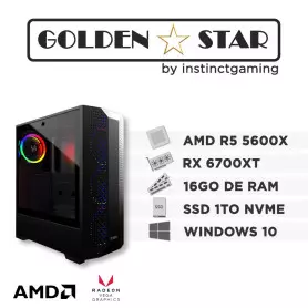 PC Gamer GOLDEN STAR R5-5600X 16Go 1To RX 6700 XT 12Go Windows 10