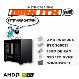 PC Gamer Mini ITX Ryzen 5 5600X 16Go 1To RTX 3060 Ti 8Go Windows 11