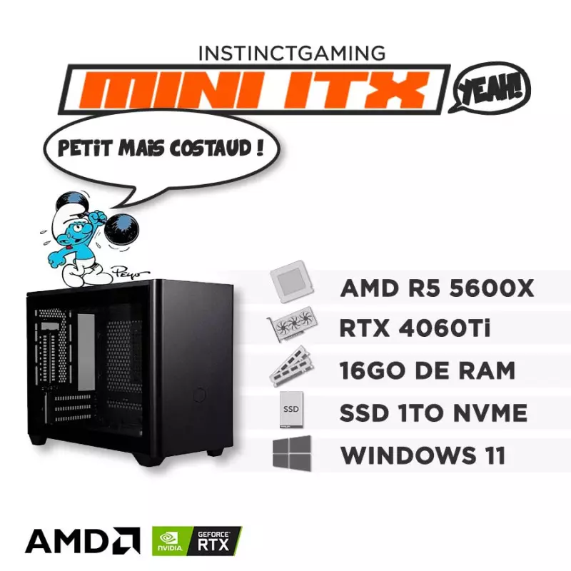 PC Gamer Mini ITX Ryzen 5 5600X 16Go 1To RTX 4060 Ti 8Go Couleur Noir -  Windows Windows 11