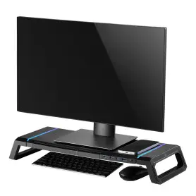Support réhausseur d'écran RGB avec HUB 4xUSB Ewent EW1268