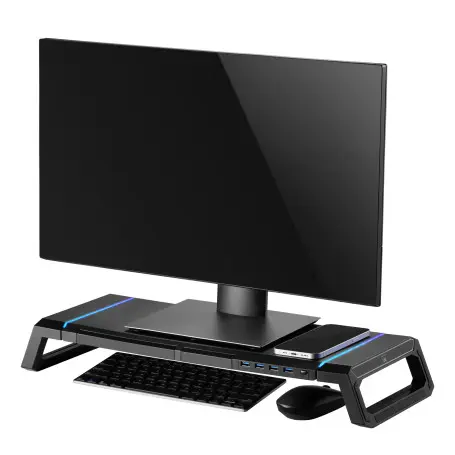 Support réhausseur d'écran RGB avec HUB 4xUSB Ewent EW1268