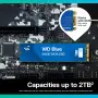 SSD 500Go WD Blue SA510 M.2 SATA 6Gb/s
