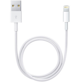 Cable USB vers Lightning Apple 0.5M Blanc pour iPhone/iPad CAUSB_AP-ME291ZM/A - 1