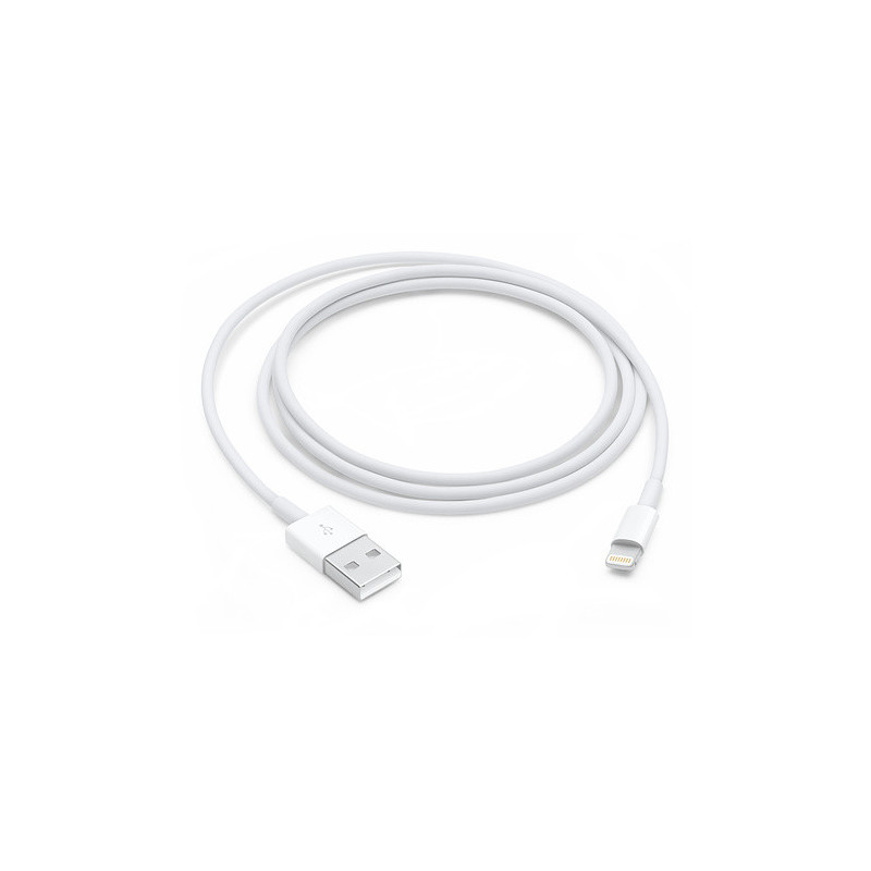 Cable USB vers Lightning Apple 1M Blanc pour iPhone/iPad