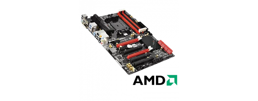 Cartes Mères AMD