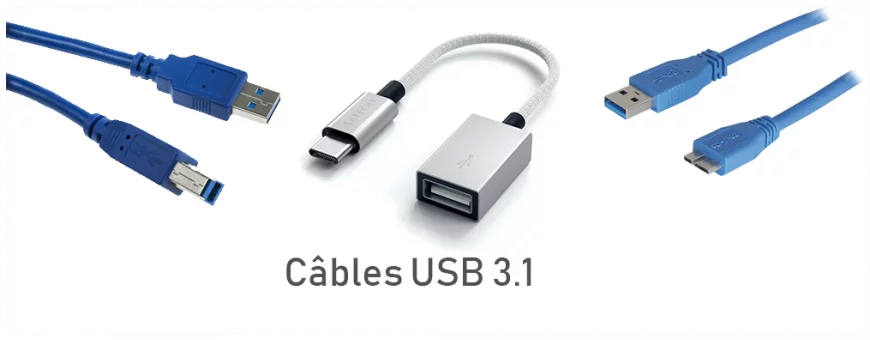 Câble USB 3.1