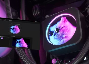ÉCRAN LCD IPS LUMINEUX
