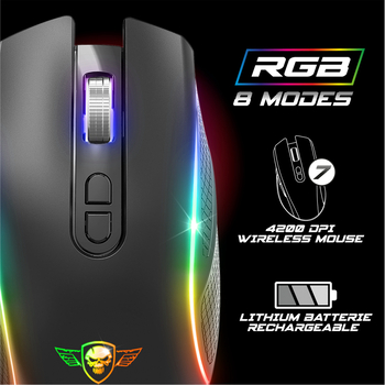 PACK SANS FIL 2,4 GHZ COMPLET