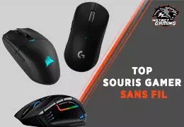 Les meilleures souris pour gamer sans fil